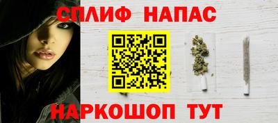 сатива Магадан