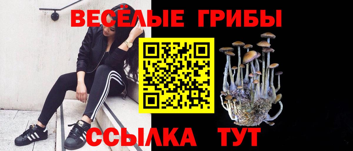 Галлюциногенные грибы MAGIC MUSHROOMS Кудымкар